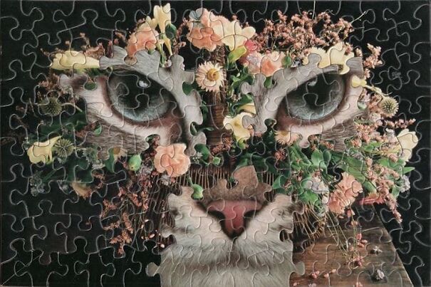 montage-puzzle-art-tim-klein-3-659508ca70903.jpg