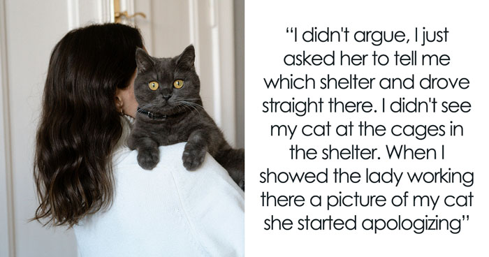 Man Disappoints Wife By Suggesting She Move Out To Avoid Moving His Senior Cat She’s Allergic To