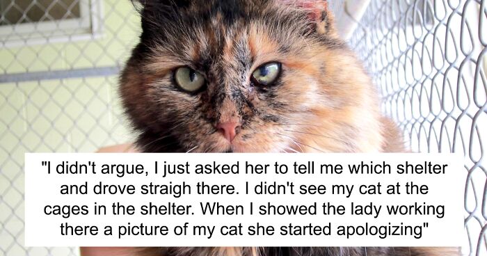 Man Disappoints Wife By Suggesting She Move Out To Avoid Moving His Senior Cat She’s Allergic To