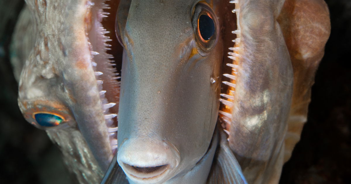 How Hot Water Bottle Cooking Helps Relieve Endometriosis Pain The