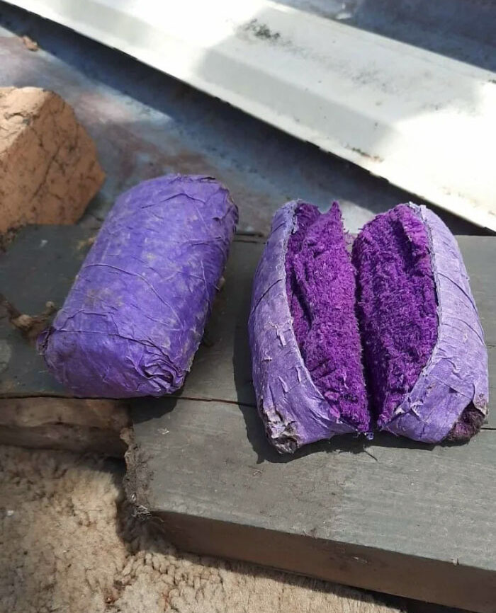 I Found These Purple Packets On Rural Property In Victoria, Australia