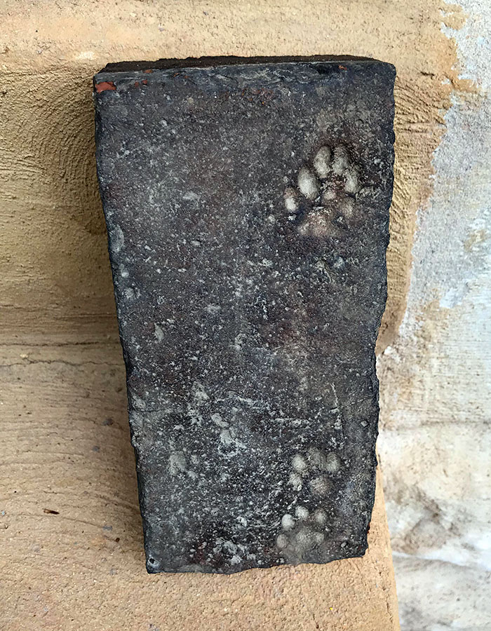 I Was Sorting Though Some Old Bricks That Was Left Over From Our 1890s Townhouse, And Came Across This