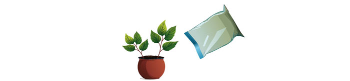 Illustration of the pot with plant near a plastic bag