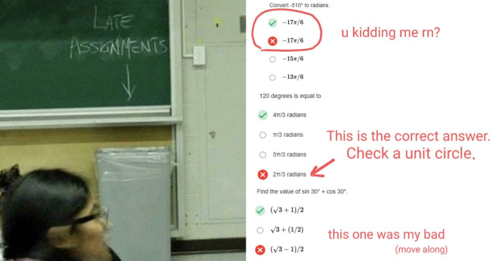 30 Posts From People Dealing With The Most Unhinged College Professors