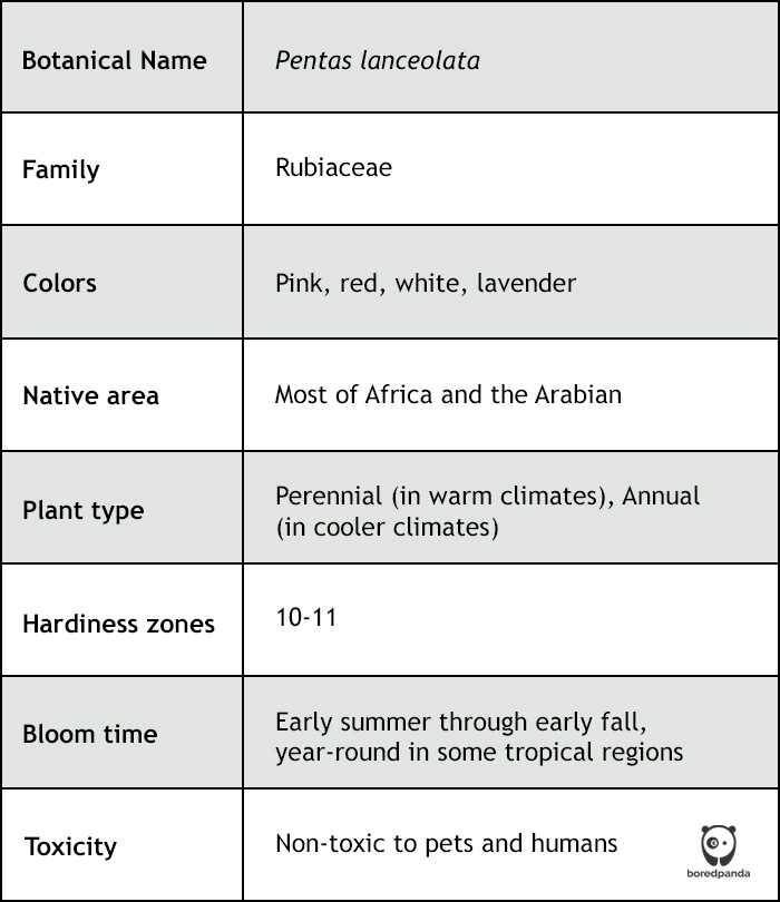 plant overview table 