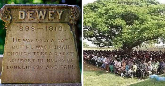 This Online Group Shares Everything That’s Awesome, And Here Are 39 Of Their Top New Pics