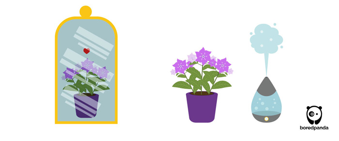 Illustrations of a periwinkle plant in a purple pot, reflected in a mirror, alongside a humidifier releasing mist. Illustrations of a periwinkle plant in a purple pot, reflected in a mirror, alongside a humidifier releasing mist.