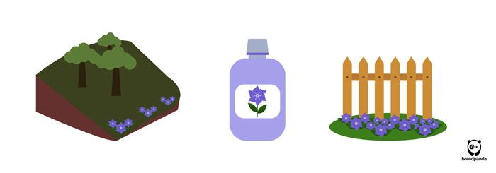 Uses for periwinkle illustration 
