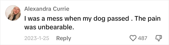 “It's Time For Things To Change”: Vet Discusses How Vital It Is To Grieve After Losing A Pet “It's Time For Things To Change”: Vet Discusses How Vital It Is To Grieve After Losing A Pet