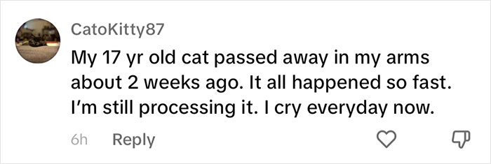 “It's Time For Things To Change”: Vet Discusses How Vital It Is To Grieve After Losing A Pet