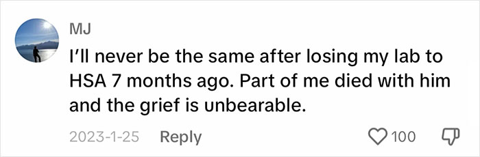 “It's Time For Things To Change”: Vet Discusses How Vital It Is To Grieve After Losing A Pet “It's Time For Things To Change”: Vet Discusses How Vital It Is To Grieve After Losing A Pet