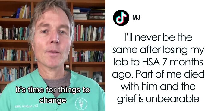 “It’s Time For Things To Change”: Vet Discusses How Vital It Is To Grieve After Losing A Pet