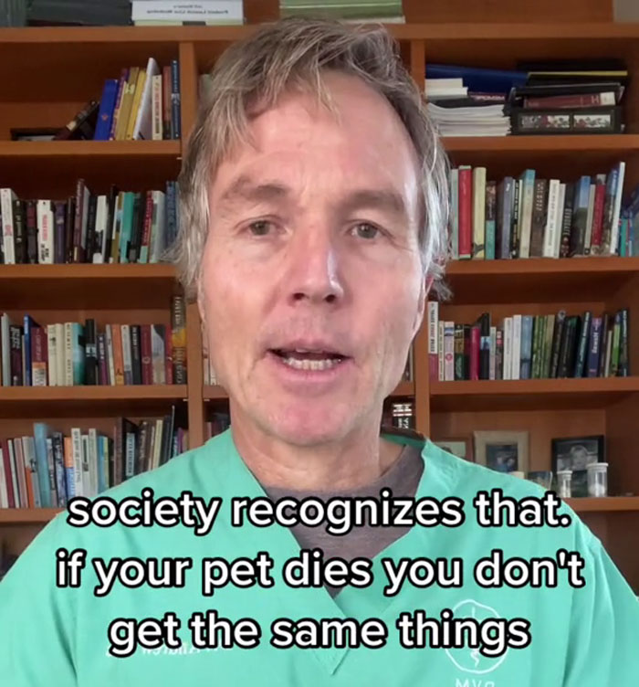 “It's Time For Things To Change”: Vet Discusses How Vital It Is To Grieve After Losing A Pet “It's Time For Things To Change”: Vet Discusses How Vital It Is To Grieve After Losing A Pet