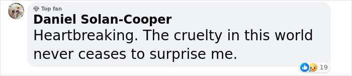 9-Year-Old Lived Alone For 2 Years, Fed Himself, And Kept Good Grades 9-Year-Old Lived Alone For 2 Years, Fed Himself, And Kept Good Grades