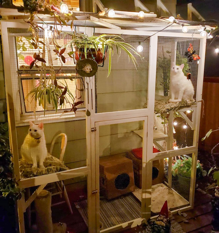 An Elevated, Weather-Resistant Outdoor Cat Palace That Caters To All Of Your Feline Friend's Whims While Surviving Their Worst Scratching Attacks.