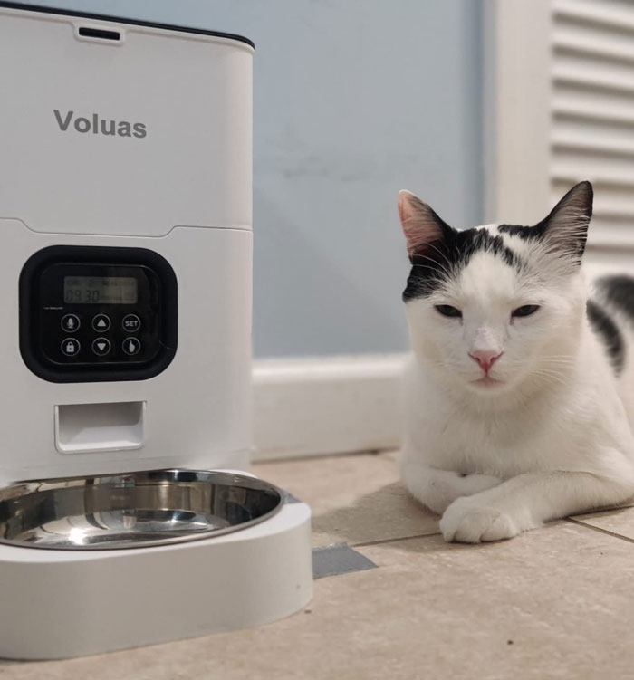 An Automatic Cat Feeder That's Not Just A Convenient Meal Planner, But A Pet-Nurturing Lifesaver When You're On Vacay Or Working Late - Ensuring Your Fur Baby Never Misses A Chow Time.