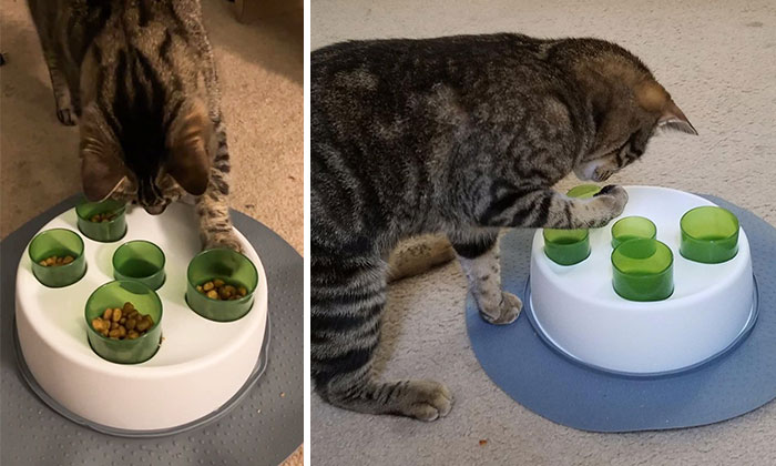 A Clever Interactive Slow Feeder To Excite Your Fur Baby's Natural Instincts, Slow Down Their Nomming And Make Mealtime A Playful Hunt — They'll Be Obsessed.