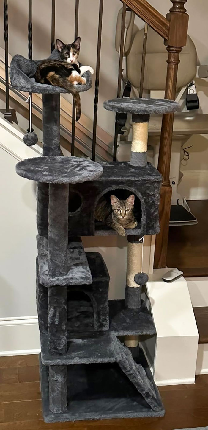 A Plush Cat Tree Tower To Take Your Kitty's Playtime And Chill Moments To New Heights - Complete With Scratch Posts, Cuddly Hideaways And Interactive Toys.