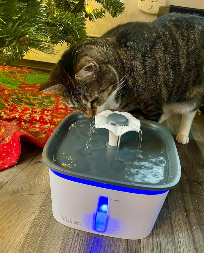 An Ultra-Quiet Pet Fountain That Dispenses Fresh And Filtered Water In Two Intriguing Flow Designs — Keeping Your Cat Hydrated, Healthy, And Entertained Has Never Been This Easy.