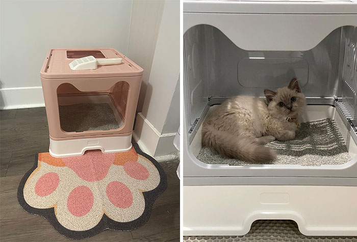 A Portable, Foldable Litter Box With A Built-In Self-Cleaning Mechanism For The Modern, On-The-Go Cat Parents Who Wish To Maintain A Clean, Odor-Free Home And Happy, Comfortable Kitties