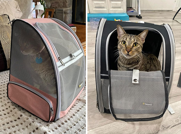 A Travel-Savvy Bubble Backpack For Your Furball That’s Breathable, Reduces Shoulder Weight, And Offers Peak Pet Comfort - Making Travel A Breeze For Both Of You!