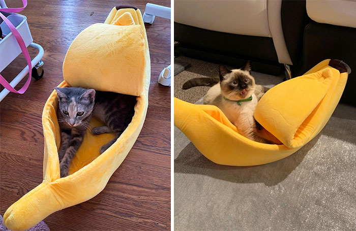 This Super Cuddly Cat Bed Shaped Like A Banana Will Keep Your Kitty Cozy, Comfy, And Spoilt Rotten — Trust Us, They'll Go Absolutely Bananas For It!