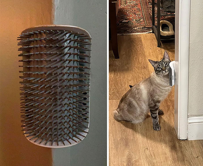 A Self-Grooming Cat Brush That Does The Pampering, So You Don't Have To — And Doubles As A Purrrfectly Placed Source Of Regular Catnip Highs.