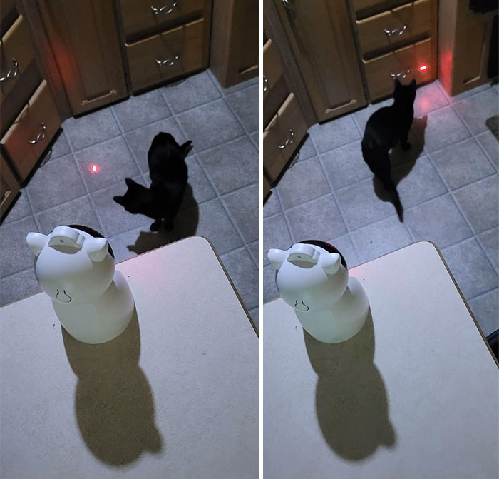 Rechargeable Motion Activated Cat Laser To: It's An Exciting And Intelligent Toy To Satisfy Your Kitty's Hunter Instinct While Keeping Them Active And Entertained.
