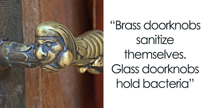 30 People Share Quirky Facts They Think Everyone Should Be Aware Of