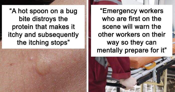 30 People Share Quirky Facts They Think Everyone Should Be Aware Of