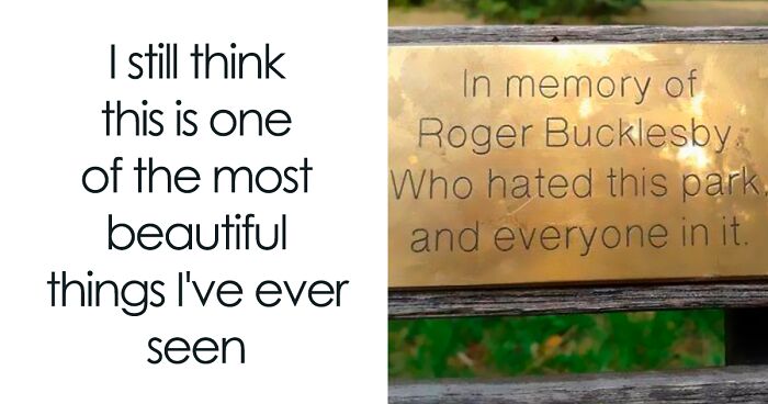 50 Funny Memes To Enjoy In Times When You’re Not Feeling Very Social