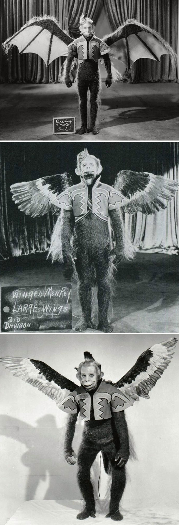 Flying Monkey Costume Tests To Pick The Perfect Wings For The Wizard Of Oz, 1939. Also Exactly How I Look Picking Out My Outfit Each Morning
