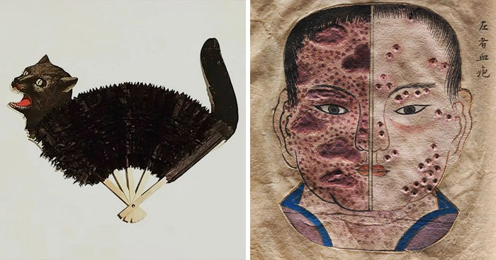 30 Pictures From ‘The Museum of Ridiculously Interesting Things’