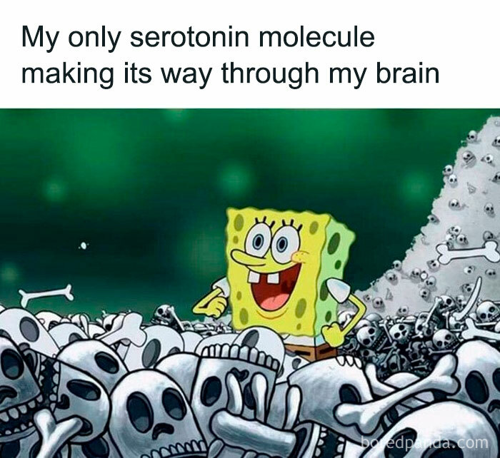 Serotonin-Relatable-Mental-Health-Memes