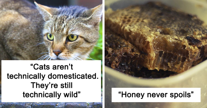 30 Simple Facts About The World To Entertain The Inner Child Within