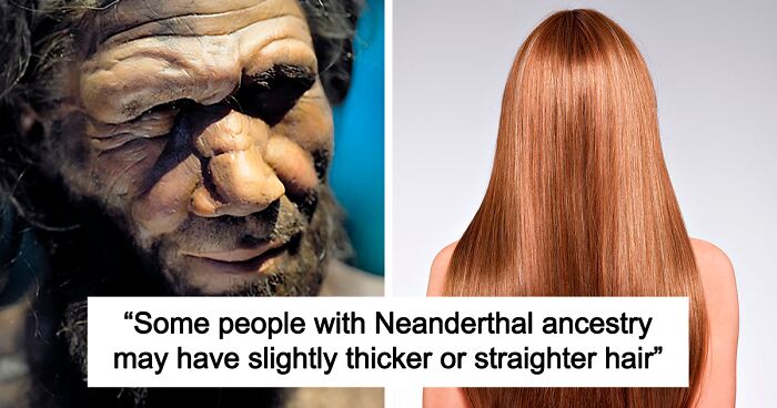 6 Traits That Indicate That You May Have Neanderthal DNA, According To Genetic Engineer