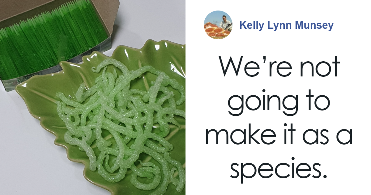 💯 The Funniest Blog