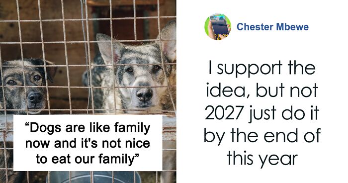 South Korea Bans Dog Meat Trade, Sparking Debate Between Older And Younger Generations