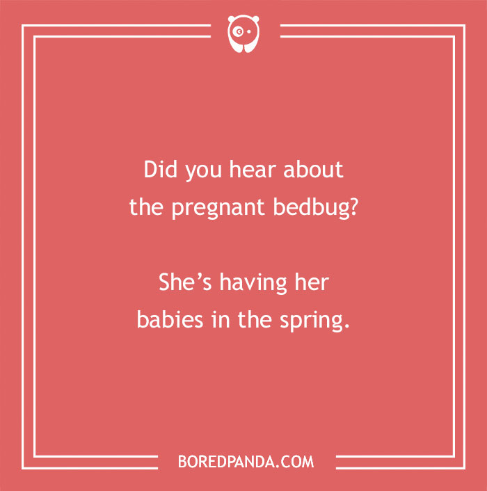 "Funny spring joke about a pregnant bedbug having babies, with a red background and playful text."