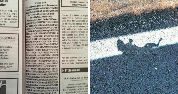 50 Times “Idiots At Work” Showed Just How Stupid Humans Can Be | Bored ...