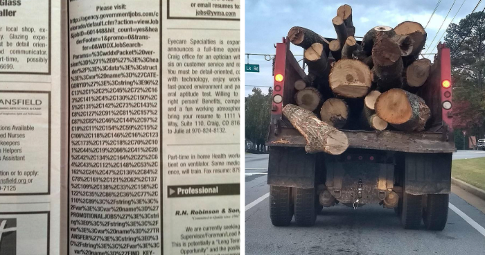 50 Times “Idiots At Work” Showed Just How Stupid Humans Can Be