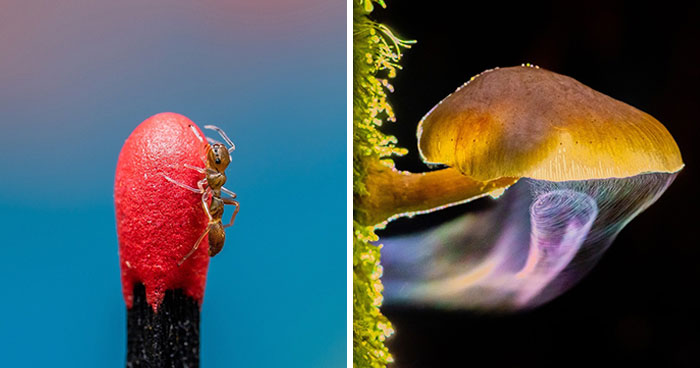 International Photography Awards Announced The Finalists Of Their 2023 Competition (30 Pics)