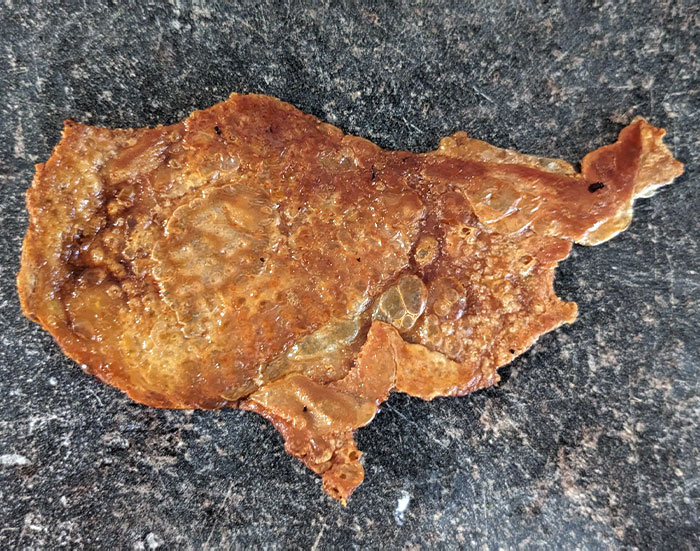 I Fried Chicken Skin And It Got The Shape Of The US