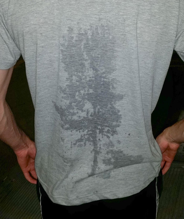 My Friend's Back Sweat Looks Like A Tree