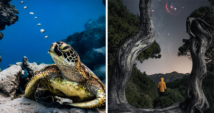 20 Exceptional Nature Photographs Crowned Winners At Tokyo International Foto Awards 2023