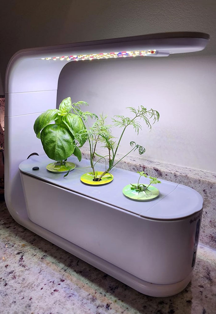 Spruce Up His Culinary Prowess With This Sleek Aerogarden Sprout - A Hydroponic Herb Garden Kit For Fresh And Safe Homegrown Herbs At His Fingertips