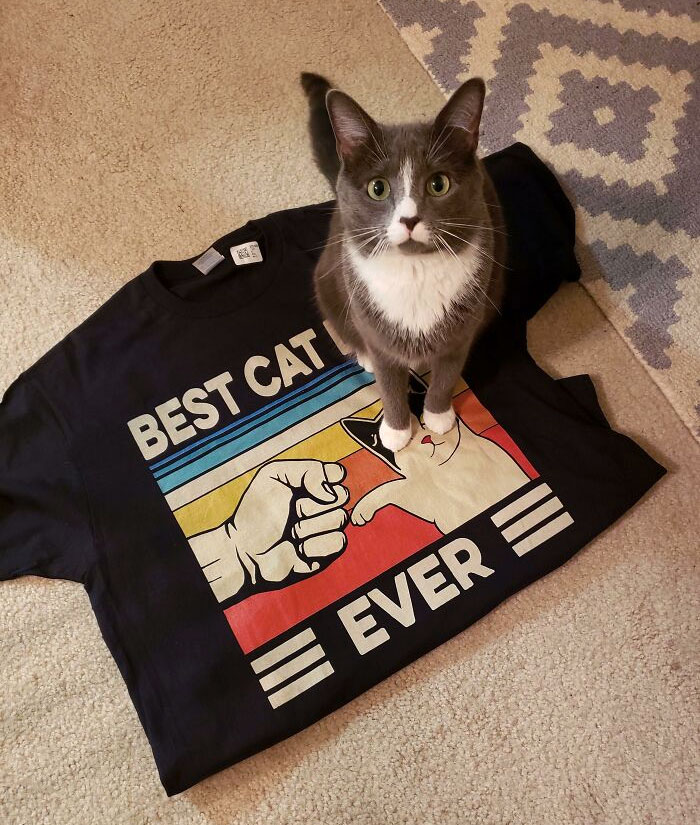 My Girlfriend Got Me This Awesome Shirt For Valentine's Day But When I Laid It Down To Take A Picture, Our Cat Sat On The Word "Dad" Making The Shirt Just Say "Best Cat Ever"