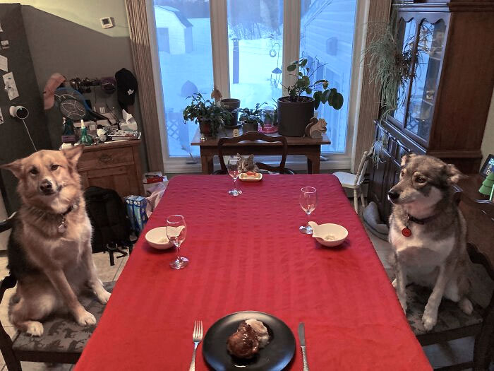 My Boyfriend Was Out Of Town So I Had Valentine's Day Dinner With These Three