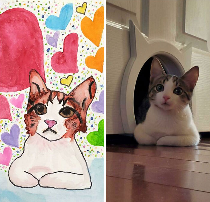 My Mom Painted My Kitten For Valentine's Day