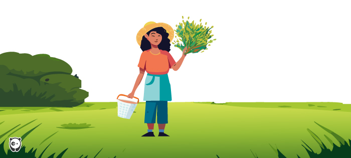 Illustration of women holding weeds in her hands.